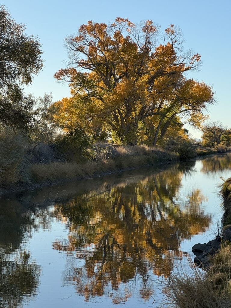 Fall Fall Color Reflections